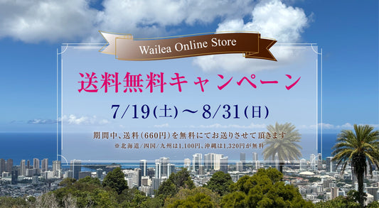 ☀️送料無料キャンペーン開催☀️