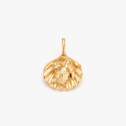 【Smart Wailea】Umi Shell Honu Pendant top