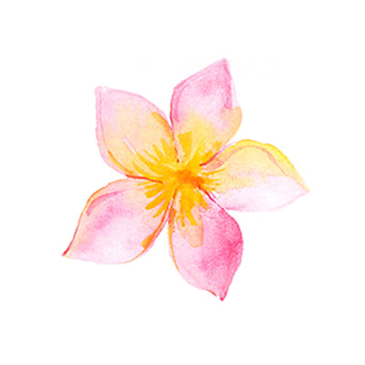 PLUMERIA